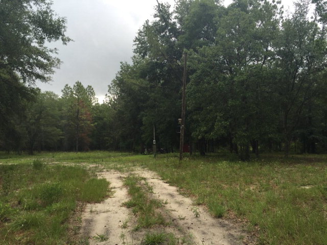 6460 21st Ave, Bell, FL 32619