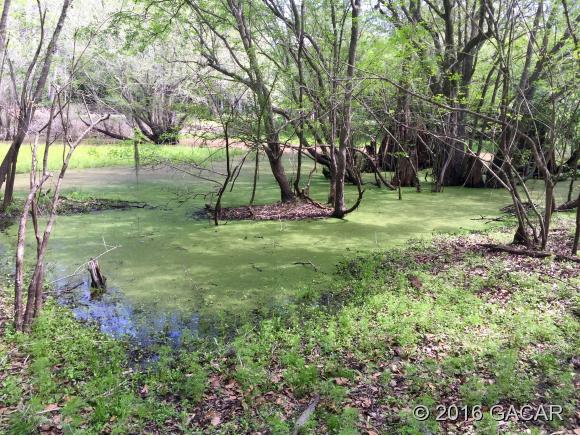 TBD Northwest 82 Terrace, Bell, FL 32619