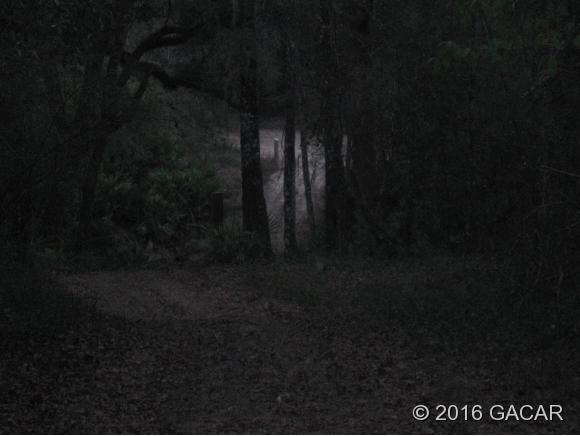 0 SW 22nd PL, Bell, FL 32619