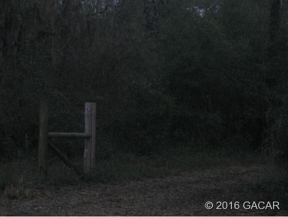 0 SW 22nd PL, Bell, FL 32619