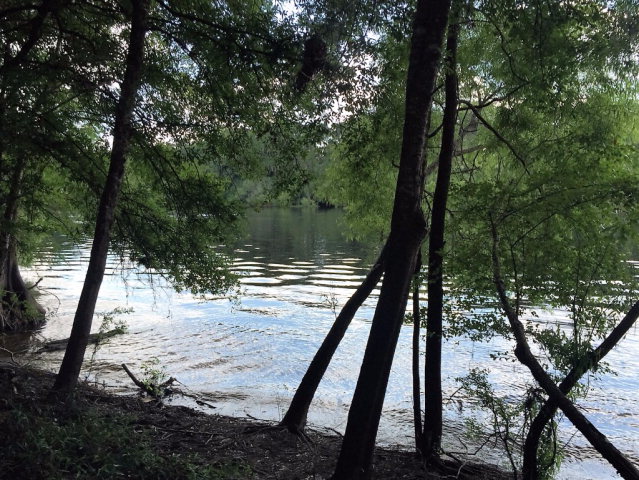 Lot 1 17th St, Bell, FL 32619