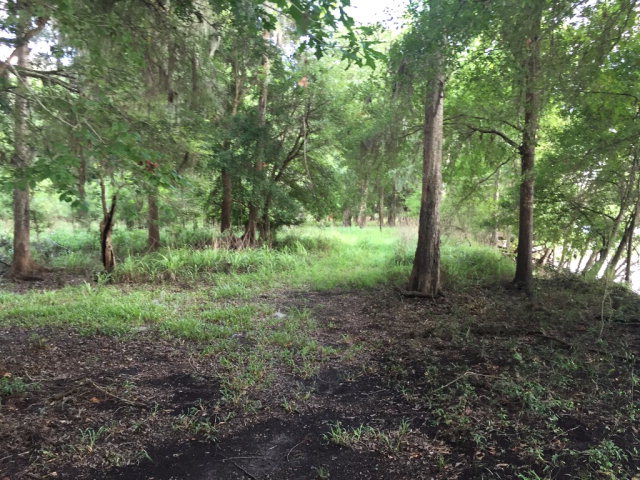 Lot 1 17th St, Bell, FL 32619