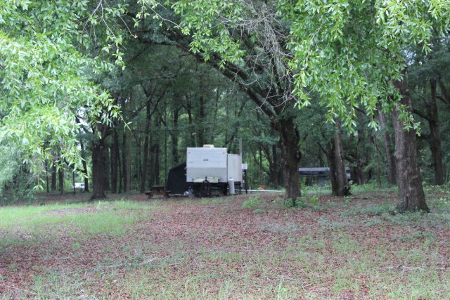 22nd Ct, Bell, FL 32619