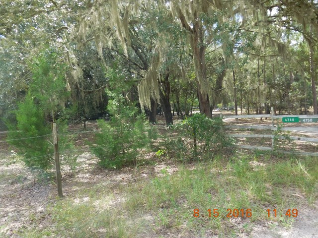 4750 27th Ct, Bell, FL 32619