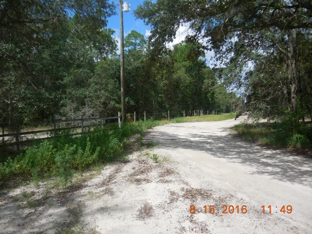 4750 27th Ct, Bell, FL 32619