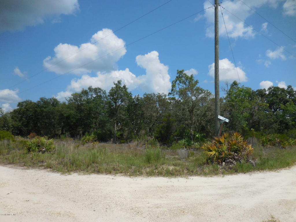0 NE 81 Street &amp; NE 125 Ave, Bronson, FL 32621