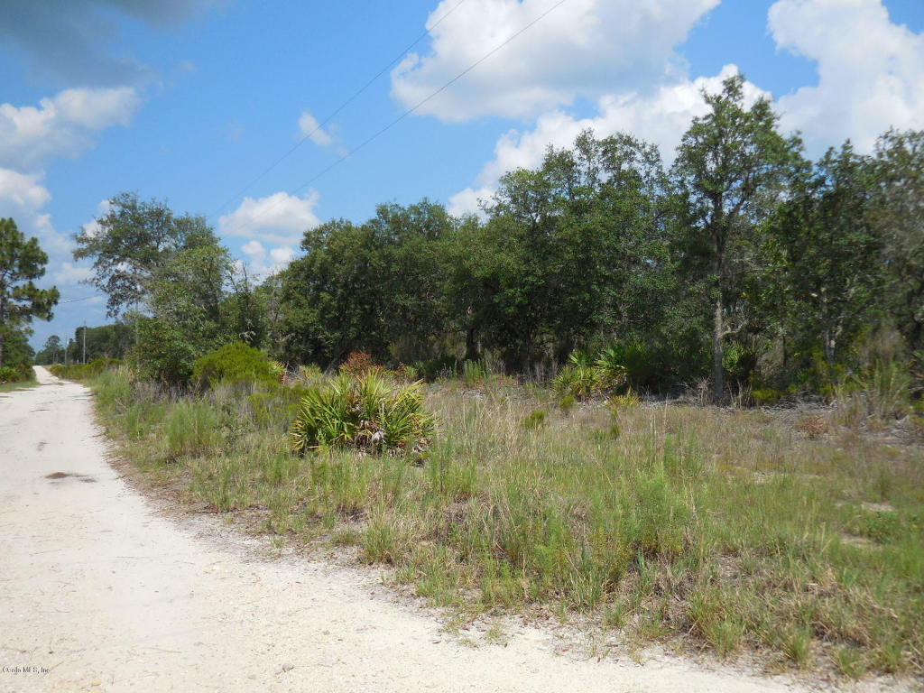 0 NE 81 Street & NE 125 Ave, Bronson, FL 32621