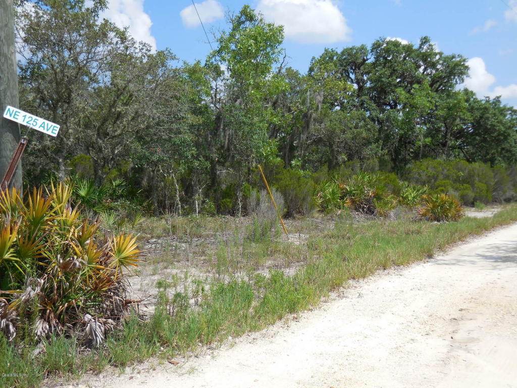 0 NE 81 Street & NE 125 Ave, Bronson, FL 32621