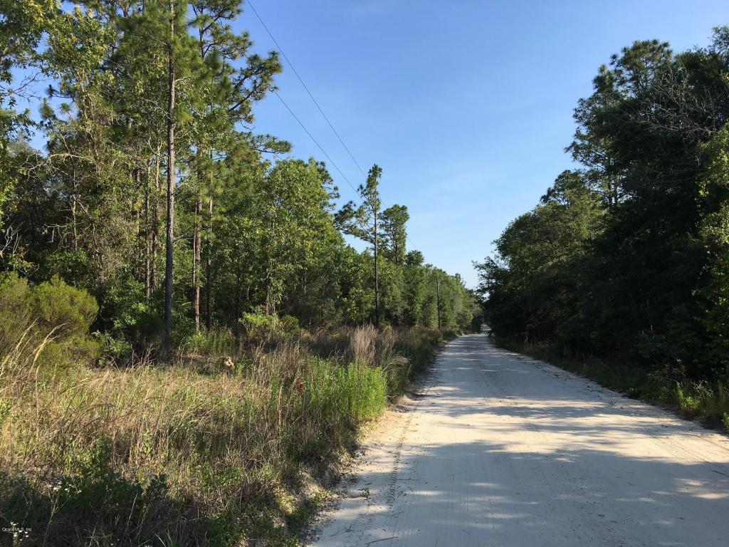 TBD NE 95th Ave, Bronson, FL 32621