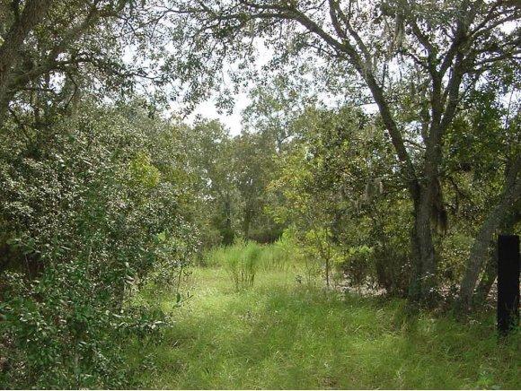 TBD NE 53RD Lane, Bronson, FL 32621