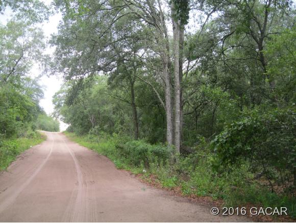 0 County Road 337, Bronson, FL 32621
