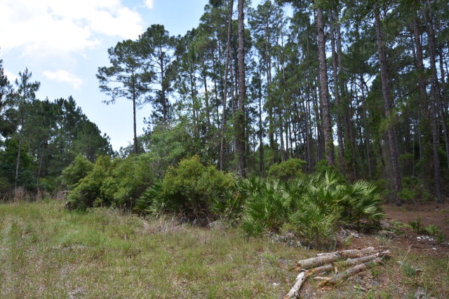 #1 123rd Ave, Cedar Key, FL 32625