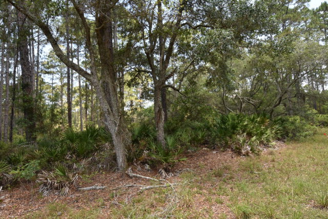 #1 123rd Ave, Cedar Key, FL 32625