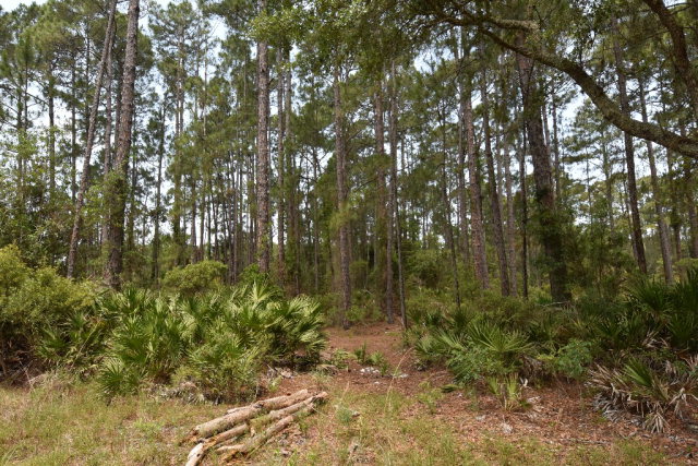 #1 123rd Ave, Cedar Key, FL 32625