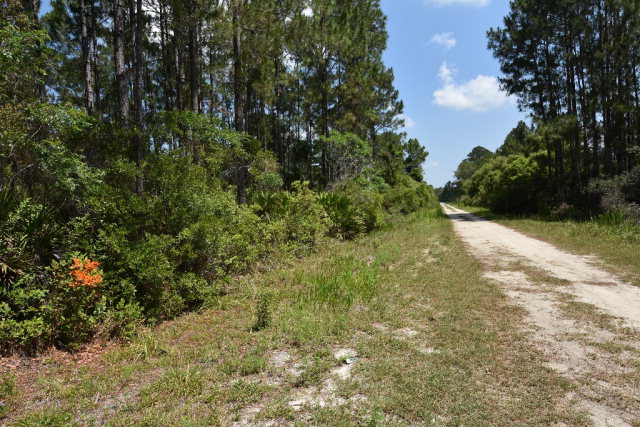 125th Ave, Cedar Key, FL 32625