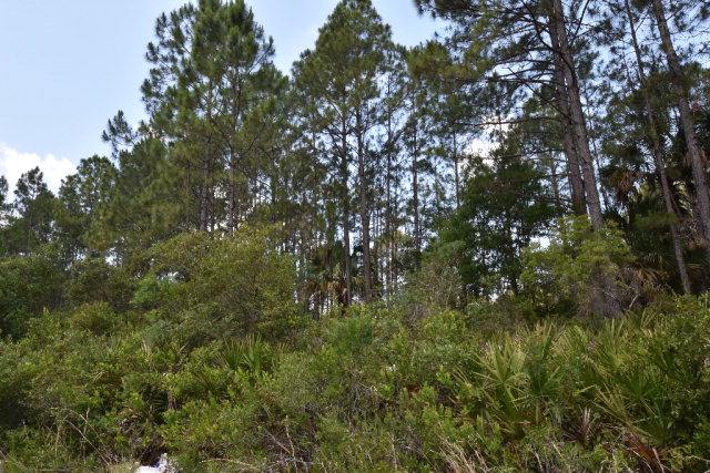 125th Ave, Cedar Key, FL 32625