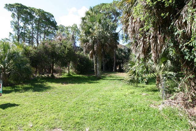 Shell Crest Avenue, Cedar Key, FL 32625