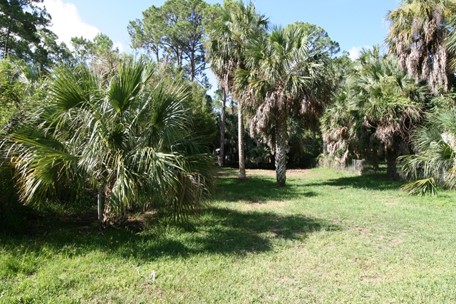Shell Crest Avenue, Cedar Key, FL 32625