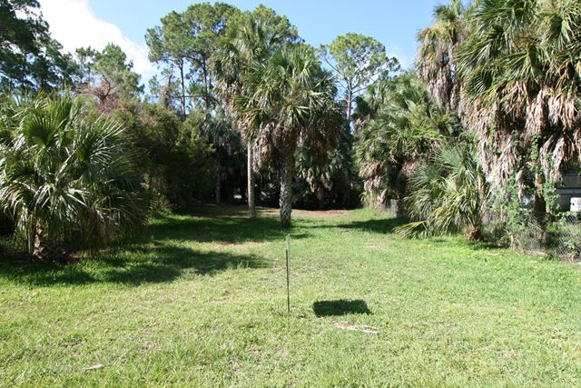 Shell Crest Avenue, Cedar Key, FL 32625