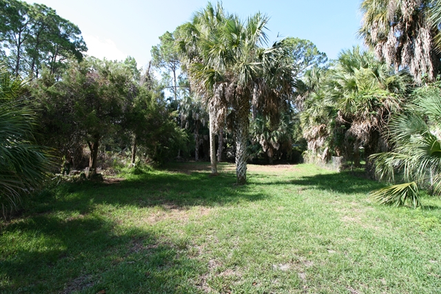 Shell Crest Avenue, Cedar Key, FL 32625