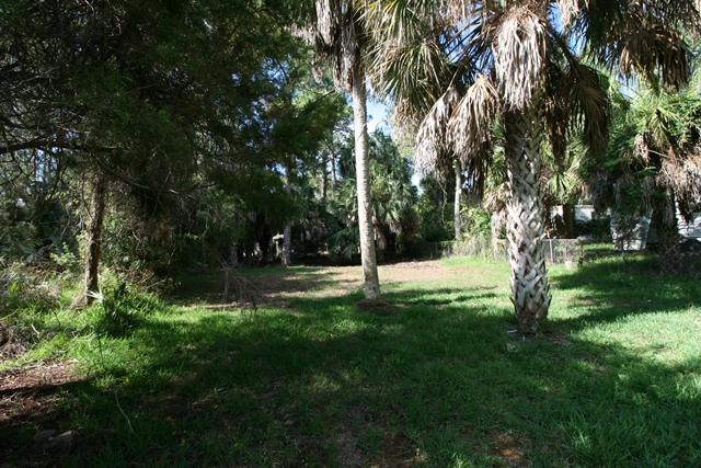 Shell Crest Avenue, Cedar Key, FL 32625