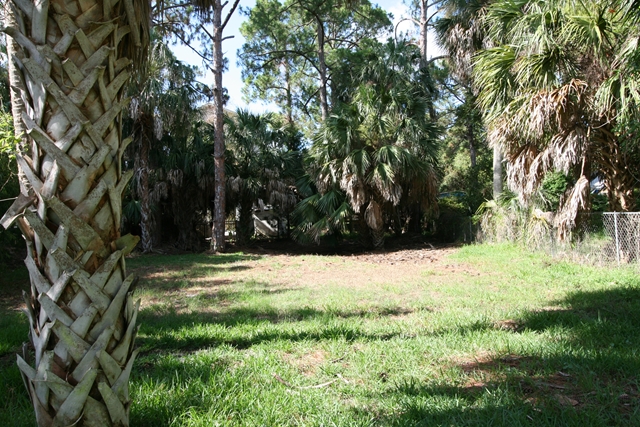Shell Crest Avenue, Cedar Key, FL 32625