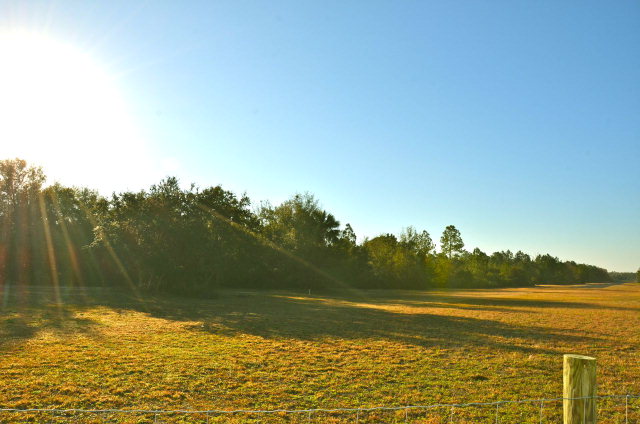 Lot 12 103rd Terr, Cedar Key, FL 32625