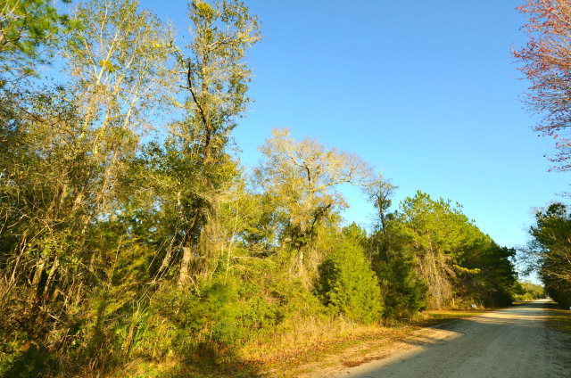 Lot 12 103rd Terr, Cedar Key, FL 32625