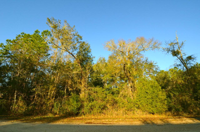 Lot 12 103rd Terr, Cedar Key, FL 32625