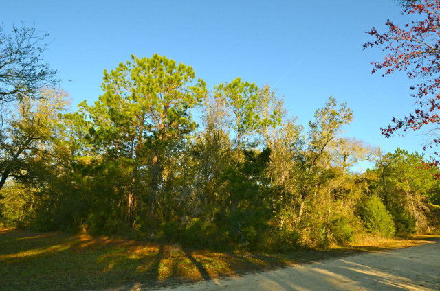 Lot 12 103rd Terr, Cedar Key, FL 32625