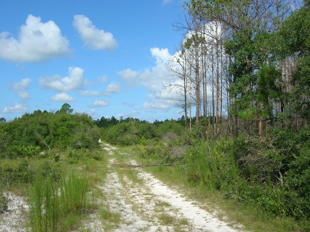 00 EASEMENT RD, Cedar Key, FL 32625