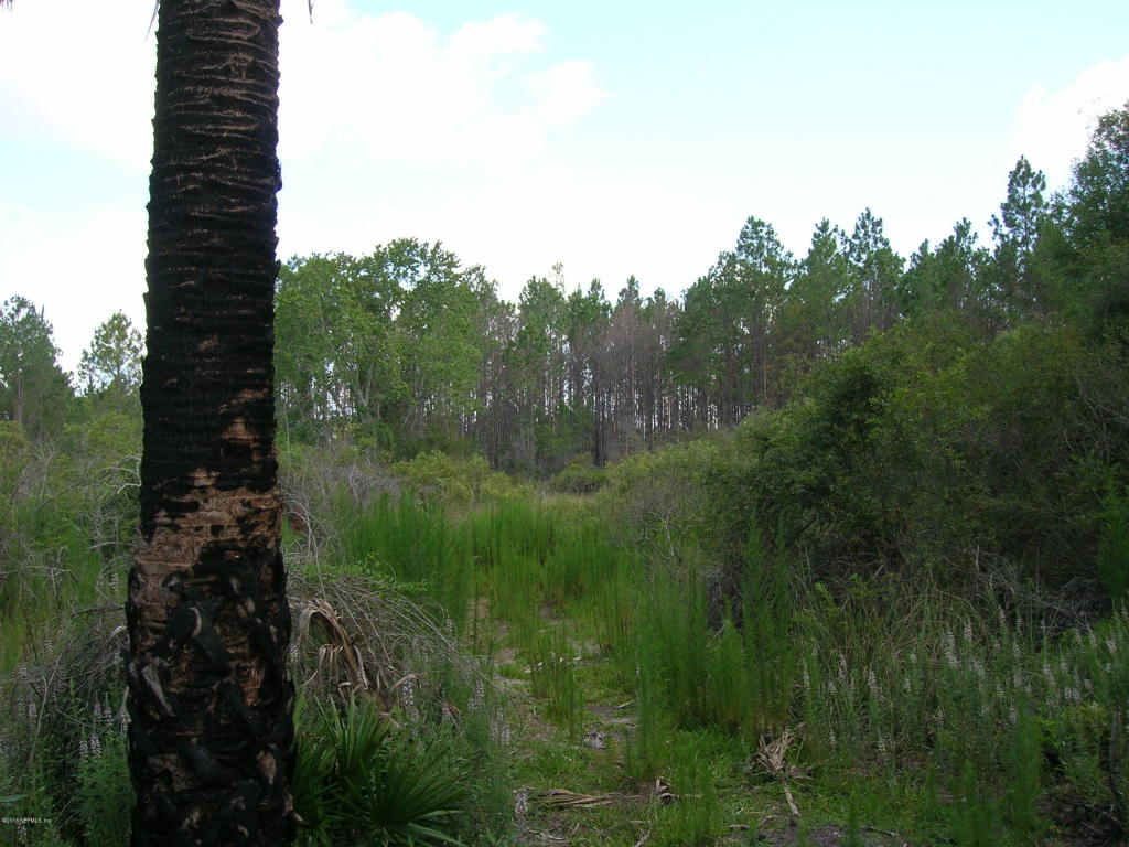 00 EASEMENT RD, Cedar Key, FL 32625