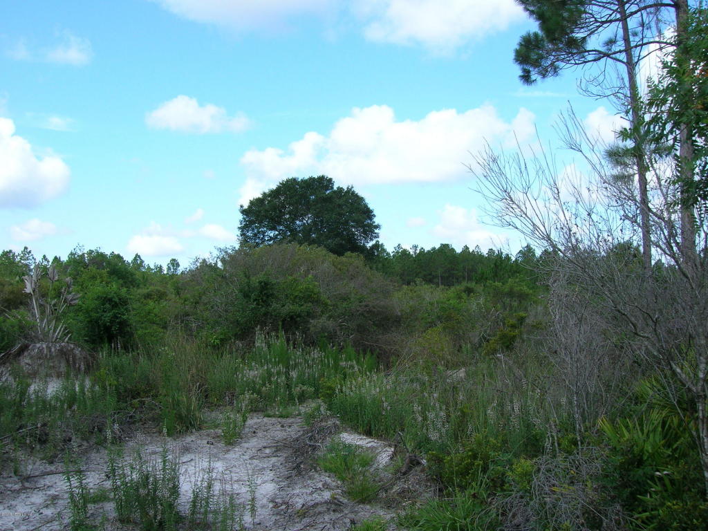00 EASEMENT RD, Cedar Key, FL 32625