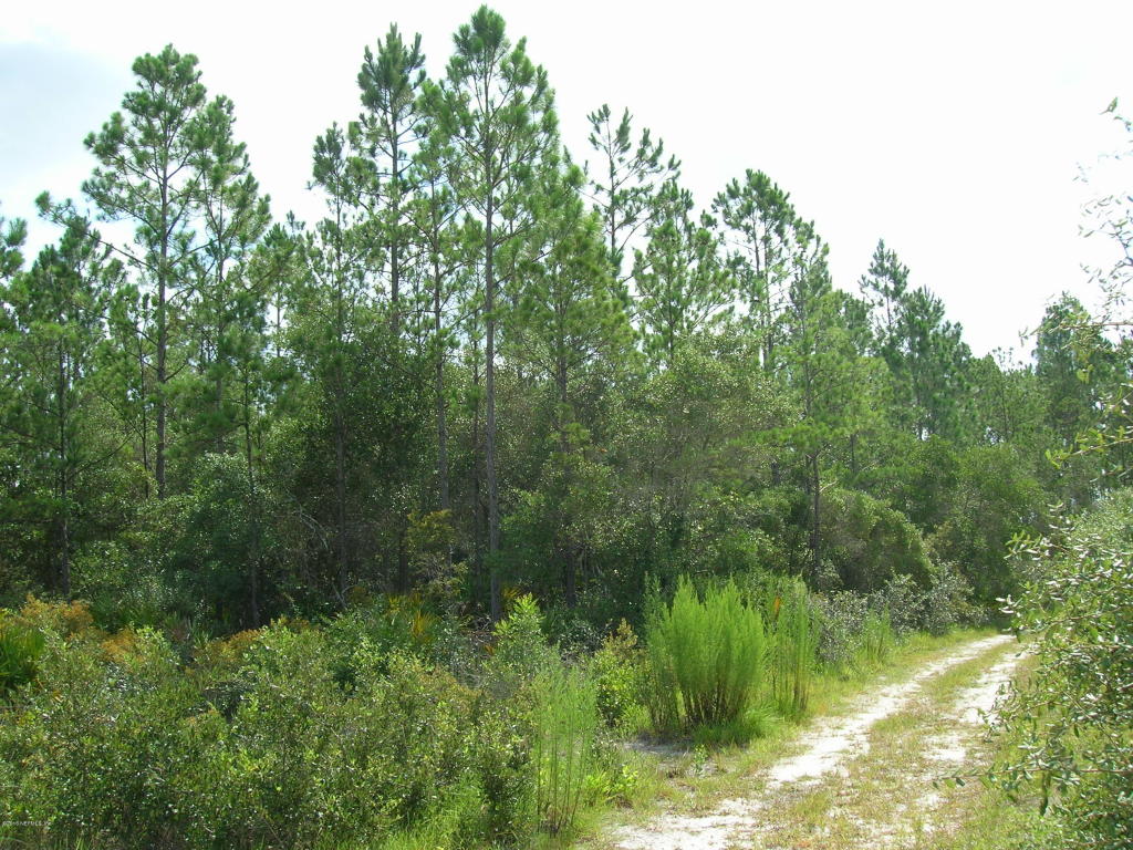 00 EASEMENT RD, Cedar Key, FL 32625