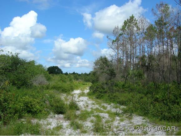 00 Southwest County Road 00 Easement Road, #13, Cedar Key, FL 32625
