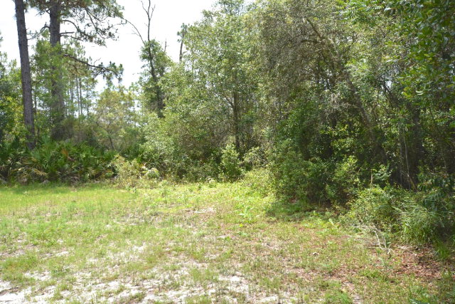 5550 102nd Terr, Cedar Key, FL 32625