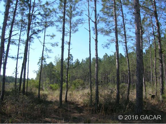 00 Purdue Road, Cedar Key, FL 32625