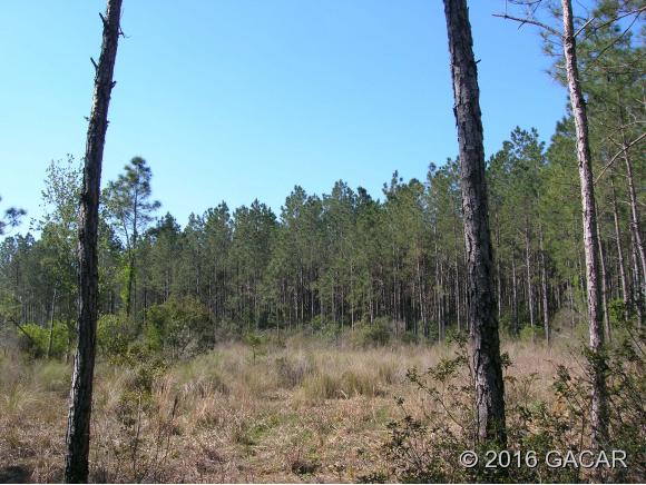 00 Purdue Road, Cedar Key, FL 32625