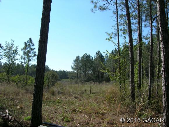 00 Purdue Road, Cedar Key, FL 32625