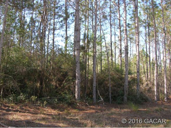 00 Purdue Road, Cedar Key, FL 32625