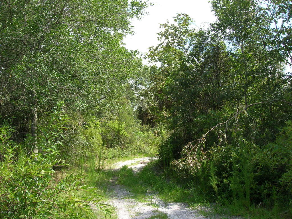 00 EASEMENT RD, Cedar Key, FL 32625