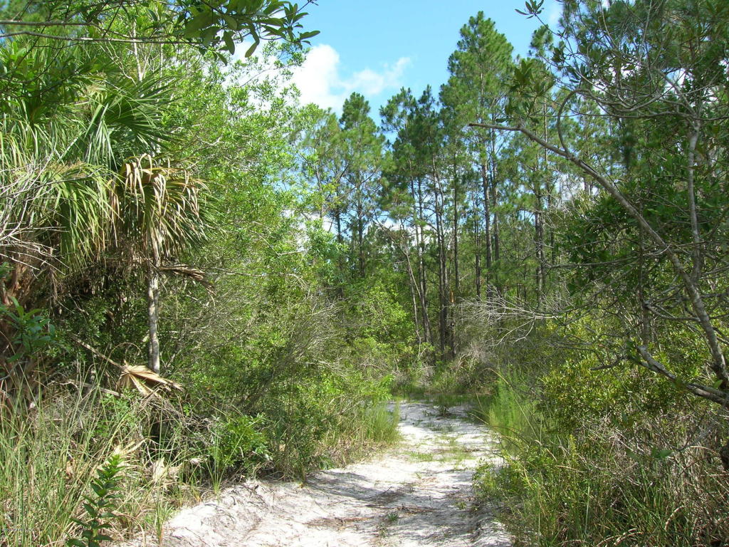 00 EASEMENT RD, Cedar Key, FL 32625