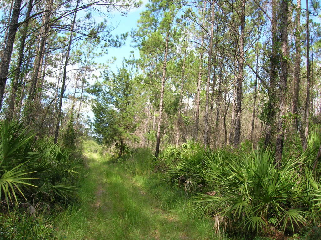 00 EASEMENT RD, Cedar Key, FL 32625