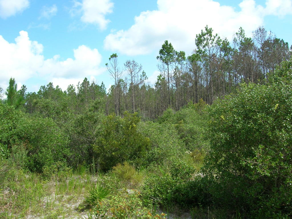 00 EASEMENT RD, Cedar Key, FL 32625