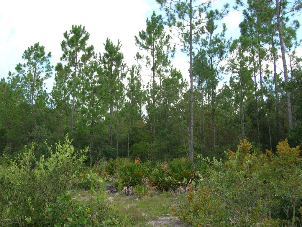 00 EASEMENT RD, Cedar Key, FL 32625