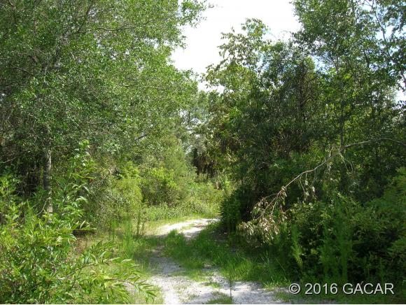00 Southwest County Road Easement Road, #16, Cedar Key, FL 32625