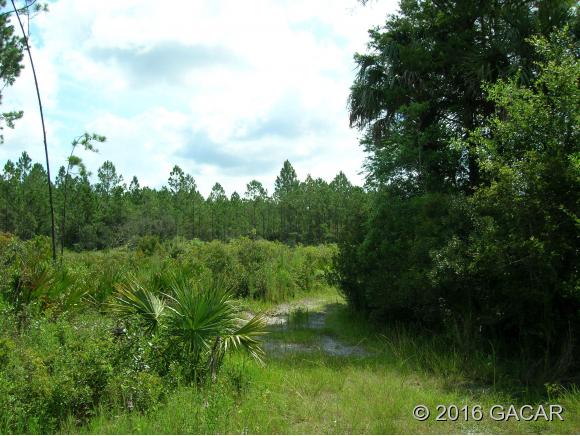 00 Southwest County Road Easement Road, #16, Cedar Key, FL 32625