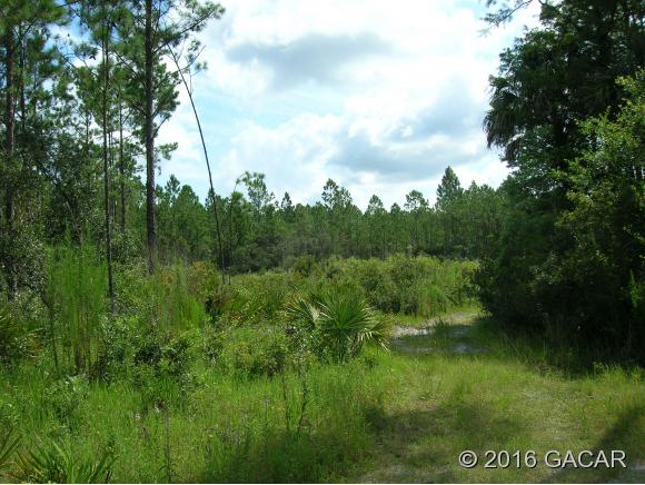 00 Southwest County Road Easement Road, #16, Cedar Key, FL 32625