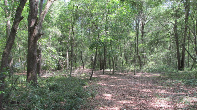 157th St, Chiefland, FL 32626
