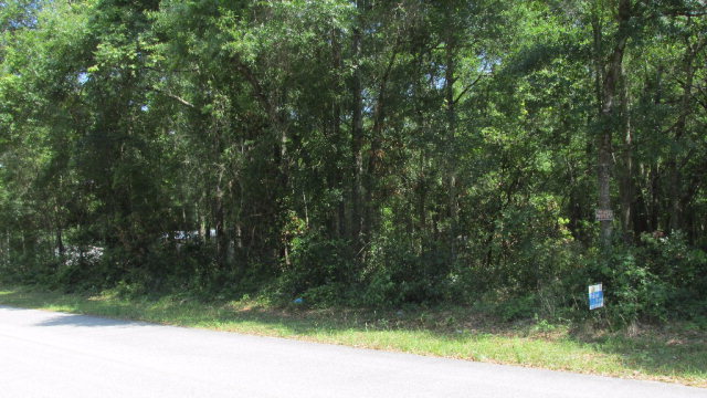 157th St, Chiefland, FL 32626